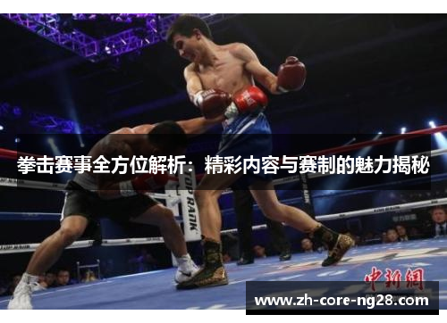 拳击赛事全方位解析：精彩内容与赛制的魅力揭秘